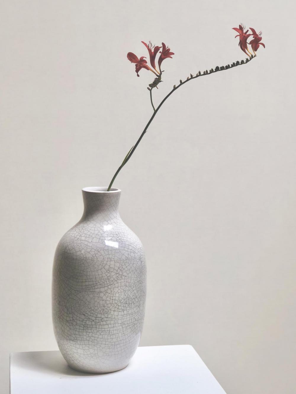 Bottle vase
