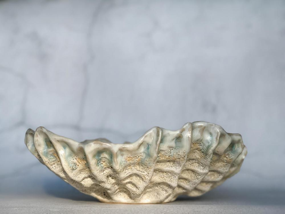 Sea shell