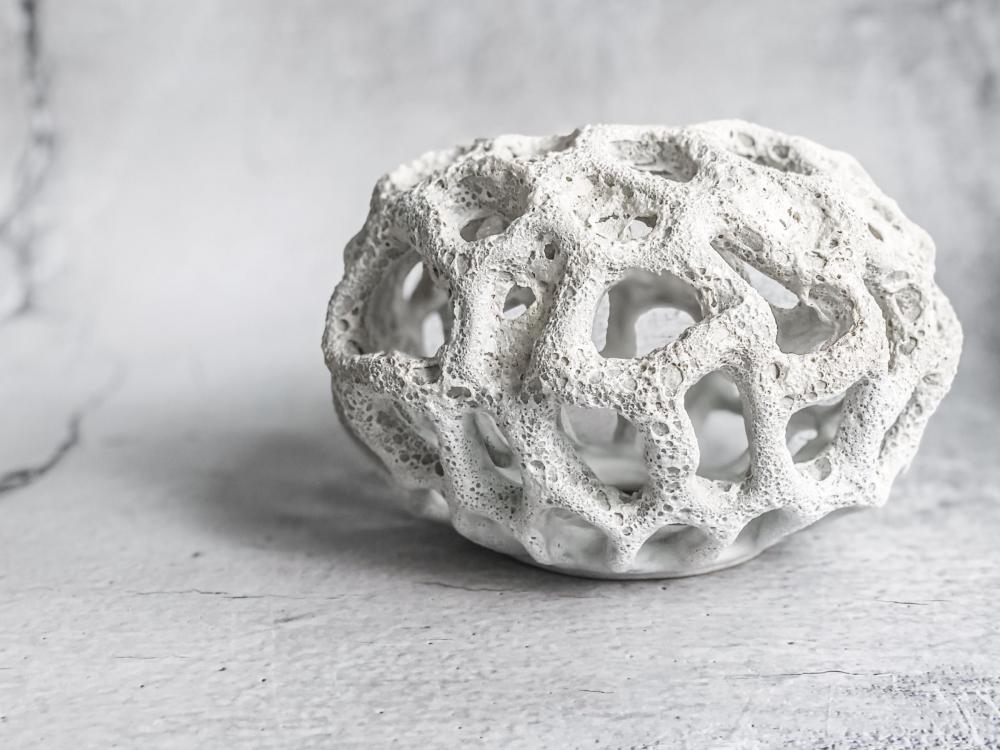 Dead coral